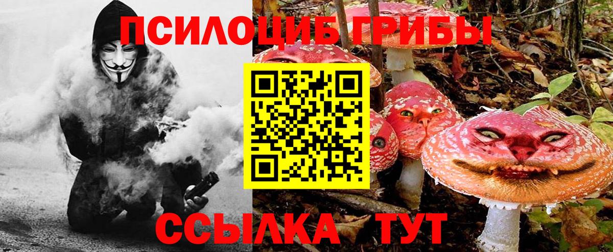 Галлюциногенные грибы Cubensis  Вход с VPN  Псилоцибиновые грибы Psilocybine cubensis  Томск 